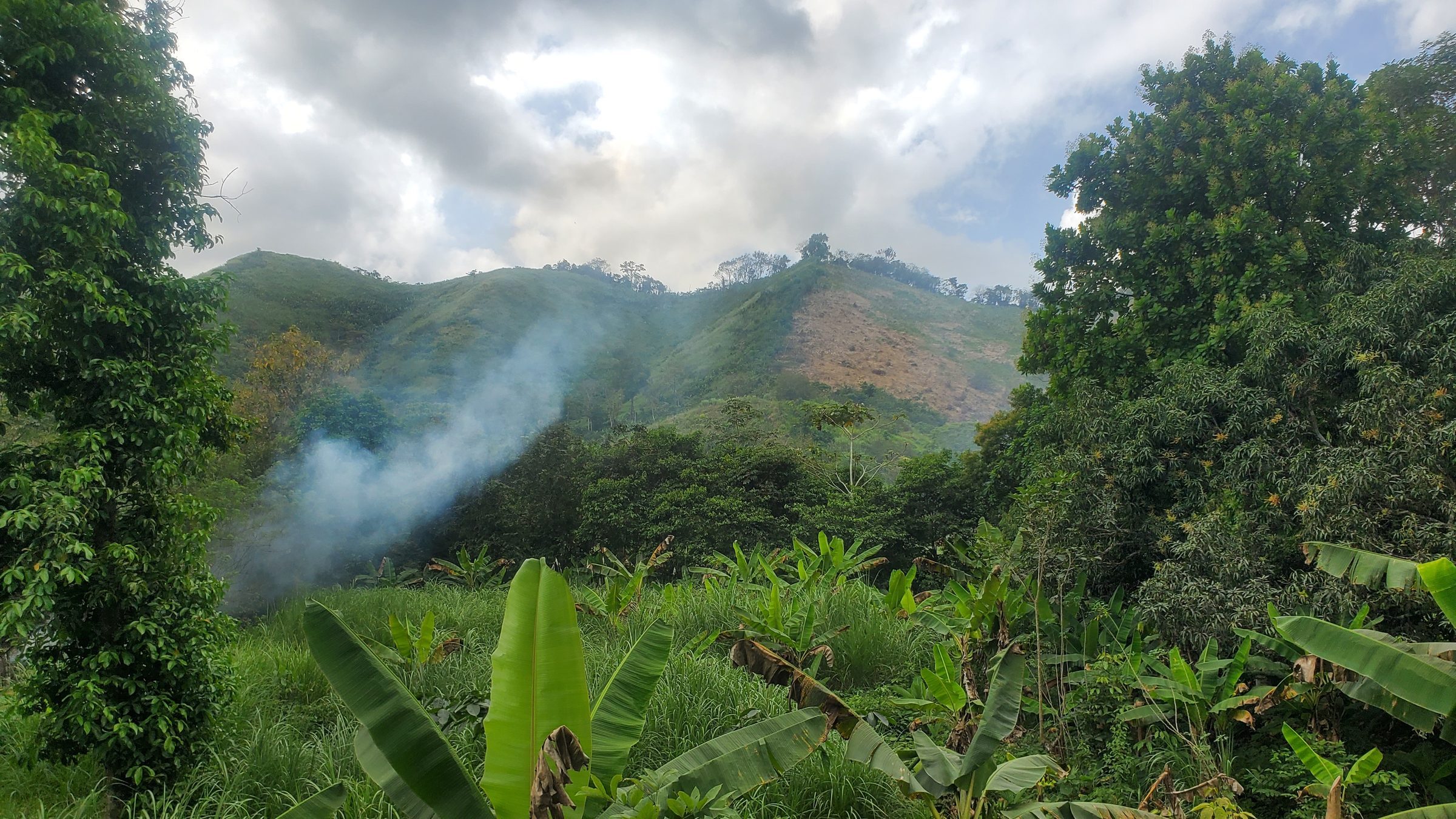 Paysage montagneux et végétation tropicale au Panama